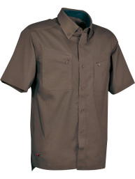 HAWAII (03 FANGO)