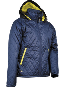 PASHINO (02 NAVY/GIALLO)